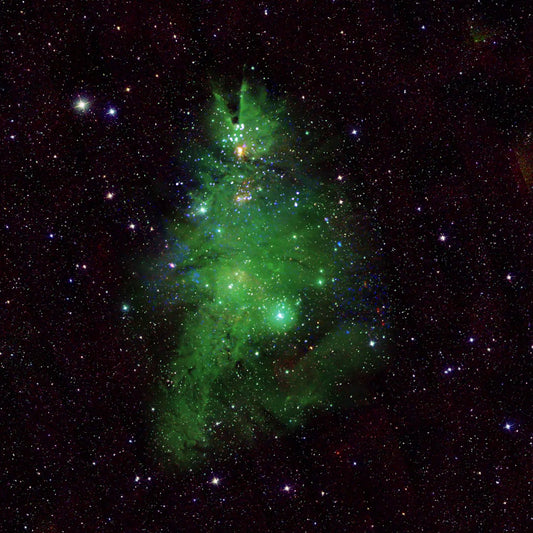 Astronz Object of the Week: The Christmas Tree Cluster